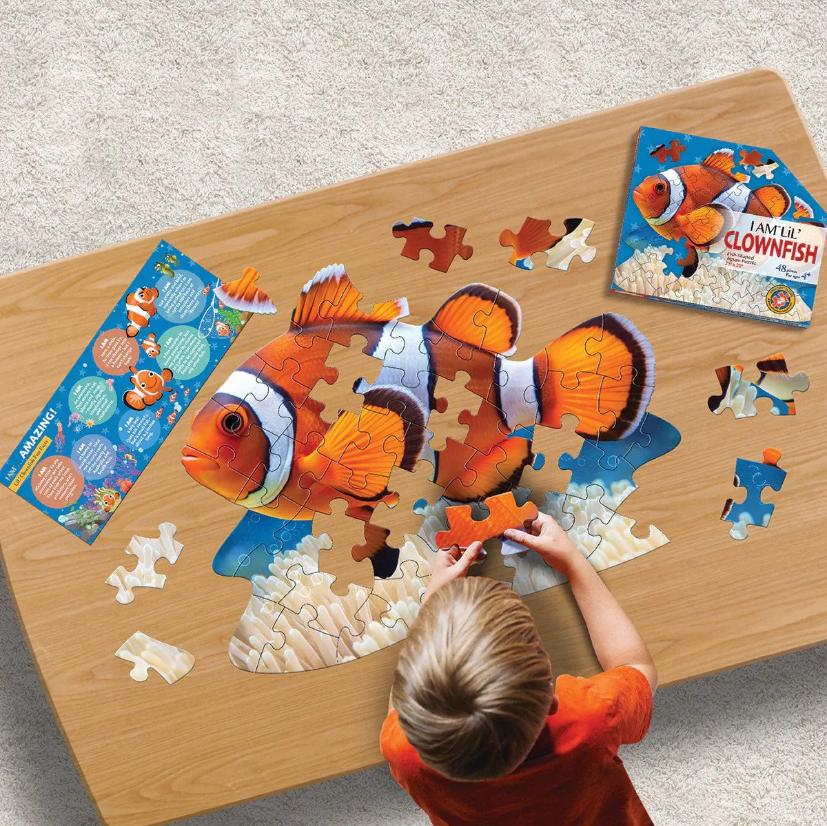 I Am Lil' Clownfish - 48pc