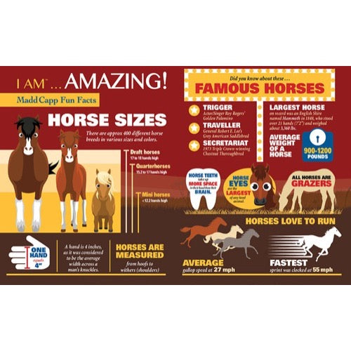 I Am Horse - 300pc