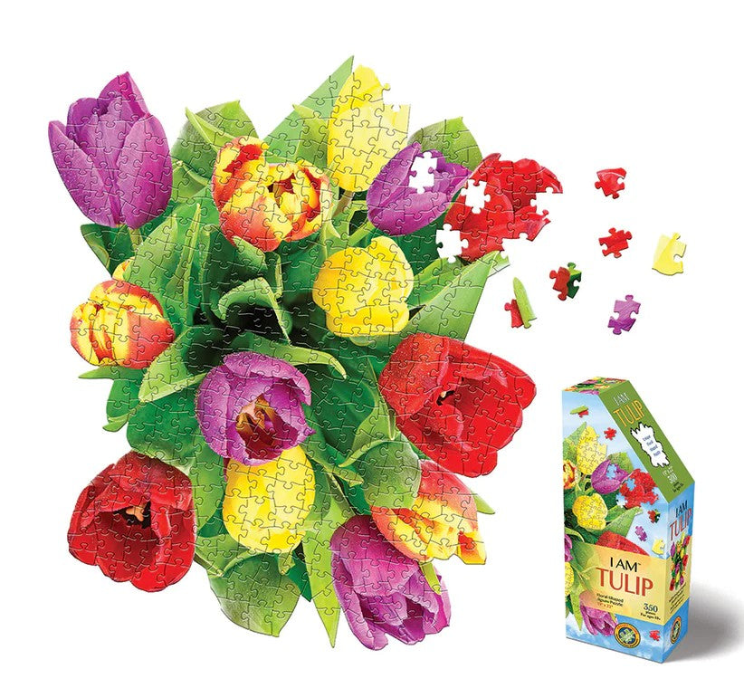I Am Tulip - 350pc