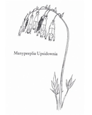 manypeeplia-upsidownia