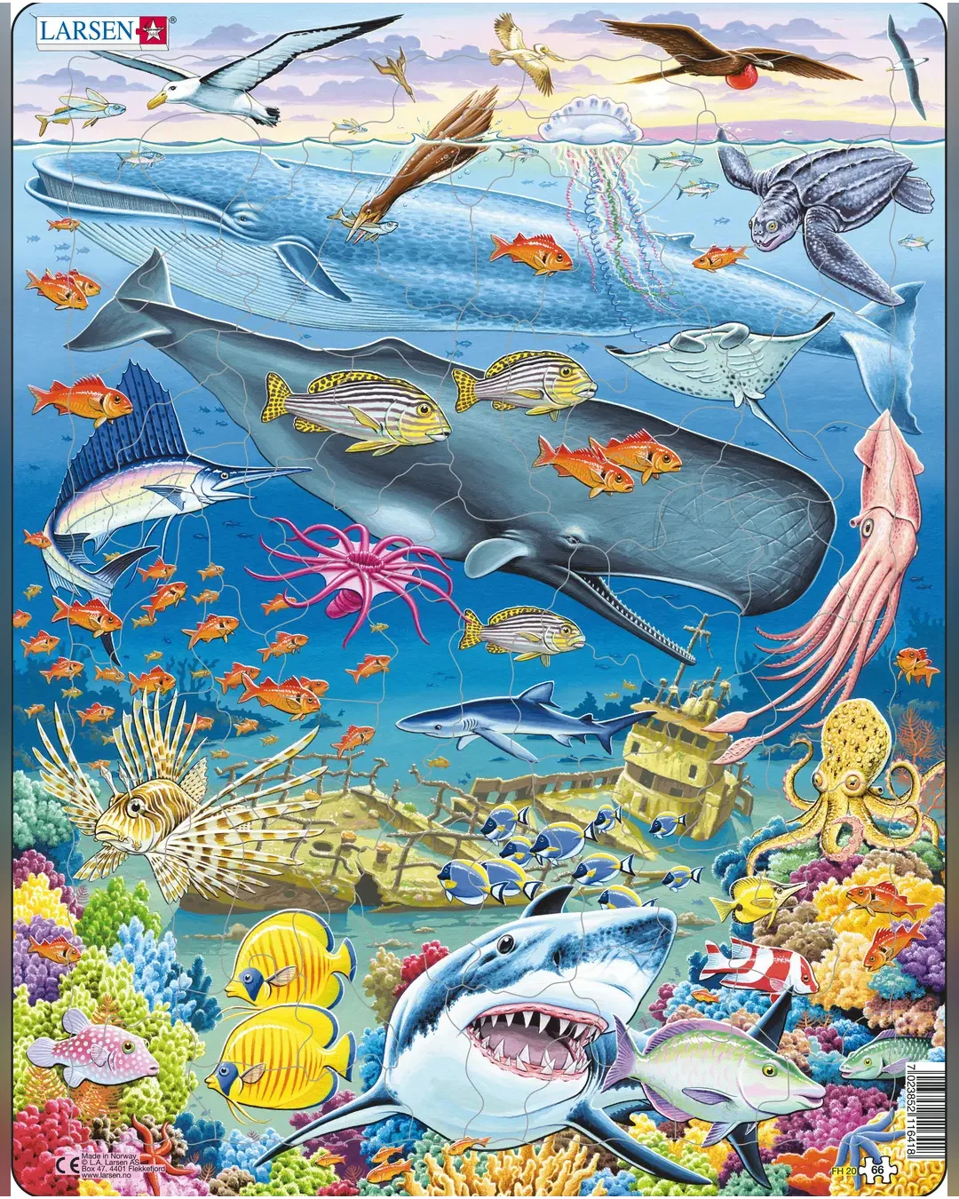 Larsen Marine Life in the Pacific Ocean 66-Piece Jigsaw Puzzle