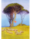 Midsummer Night - Card Greeting Cards