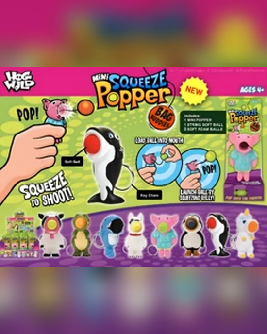 Mini Squeeze Popper Sensory Toy