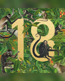 monkeys-18