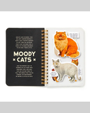 Brass Monkey Moody Cats Sticker Book-3