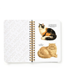 Brass Monkey Moody Cats Sticker Book-8