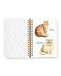 Brass Monkey Moody Cats Sticker Book-10