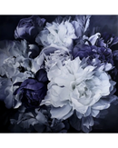 Moonlight Whispers 2
