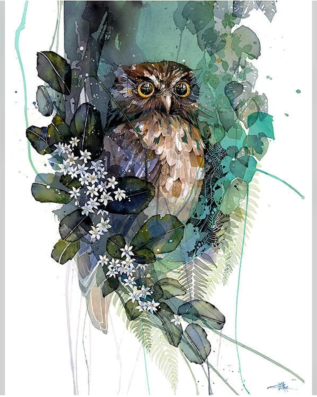 Morepork Putaputaweta