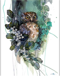 Morepork Putaputaweta