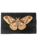 Moth Coir Doormat Door Mats