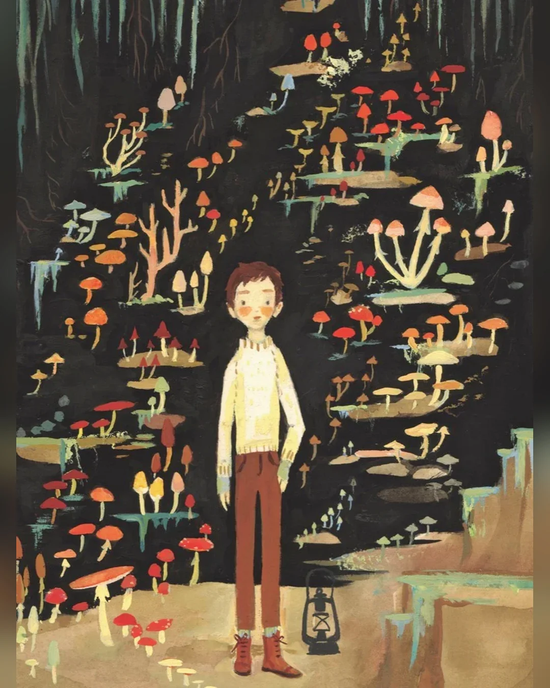 Mushroom Boy 500pc