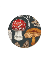 nz-fungi-morchella-coaster