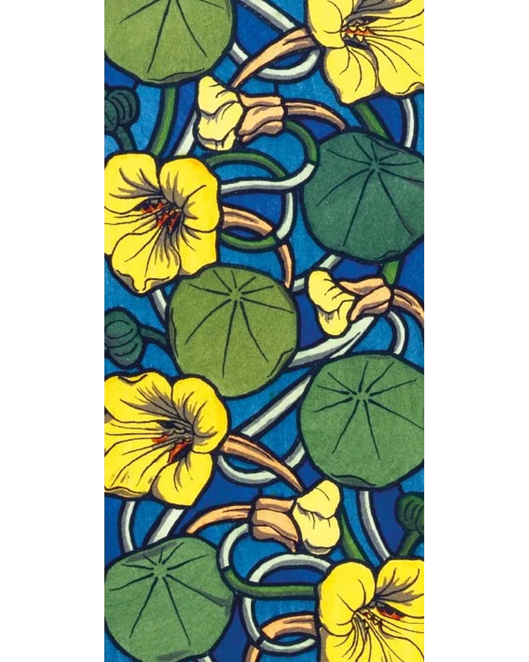 nasturtium-pattern