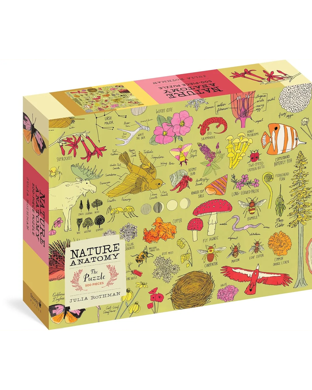 Storey Nature Anatomy 500-Piece Jigsaw Puzzle