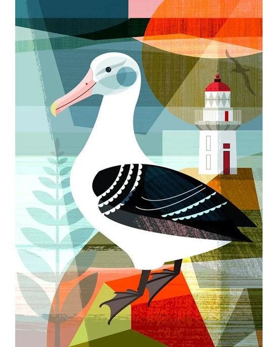 New Zealand Royal Albatross