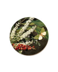 nikau-berries-kohekohe-ti-kouk