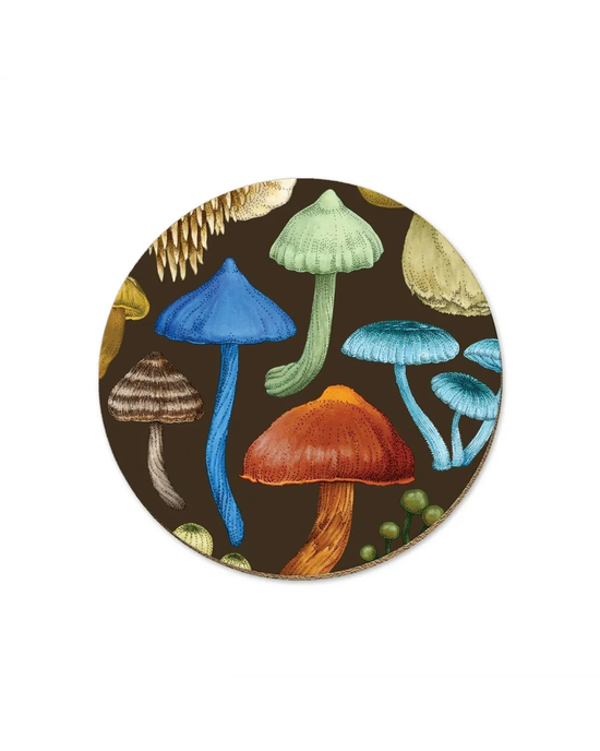 Nz Fungi Entoloma - Coaster