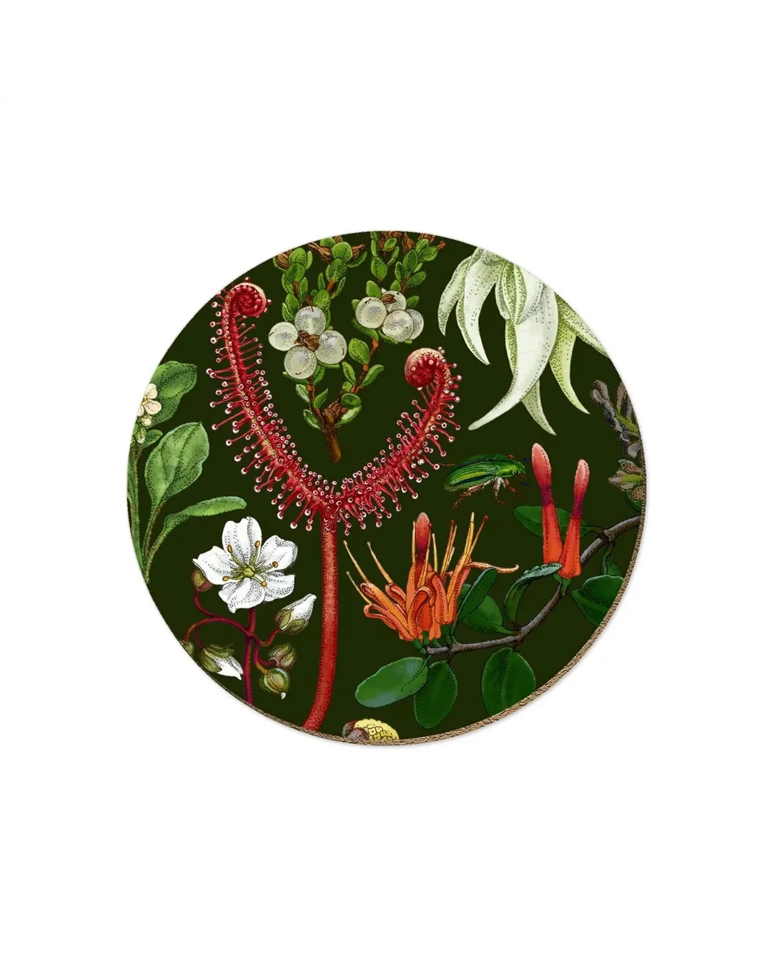 nz-plants-coaster