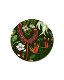 nz-plants-coaster