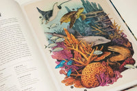 Oceanarium: Welcome to the Museum – Loveday Trinick