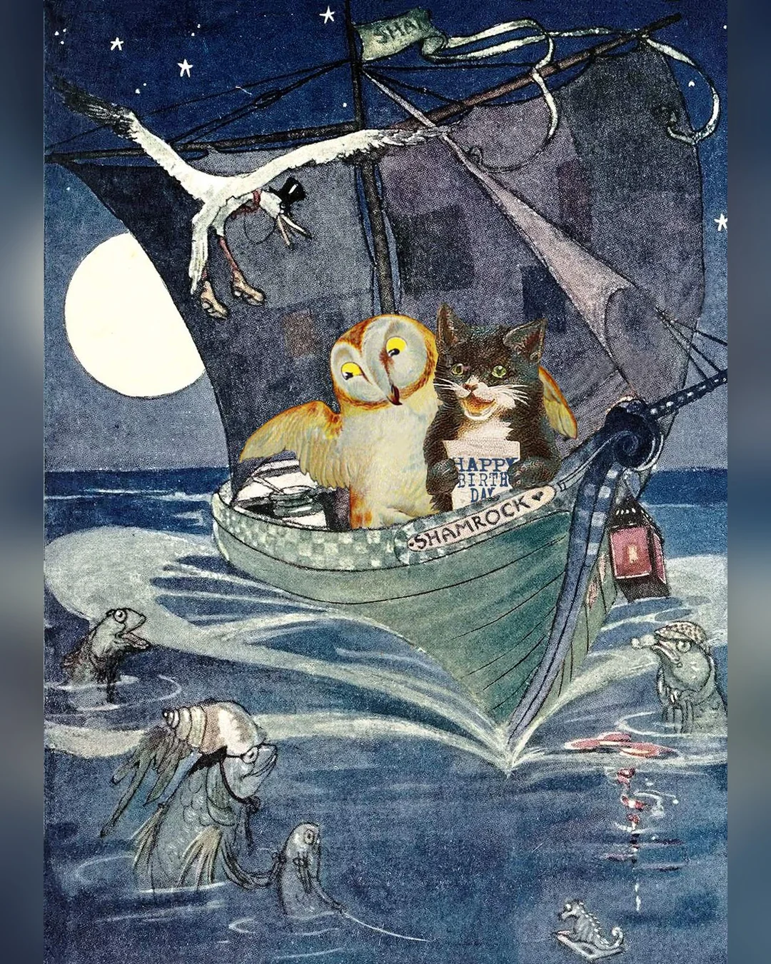 owl-and-the-pussycat
