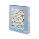 Fishes of NZ - 1000pc