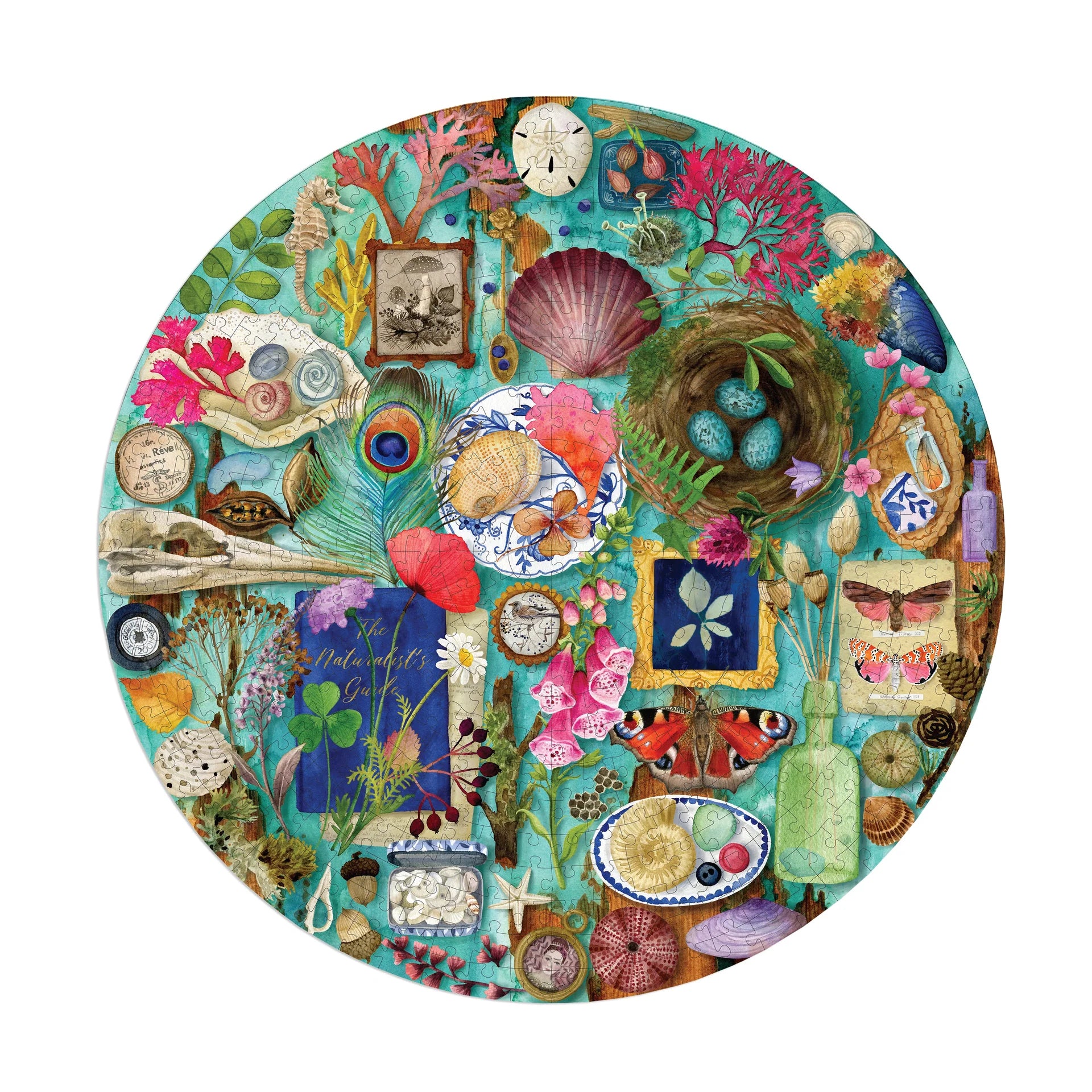 eeBoo Collecting Nature 500-Piece Round Jigsaw Puzzle