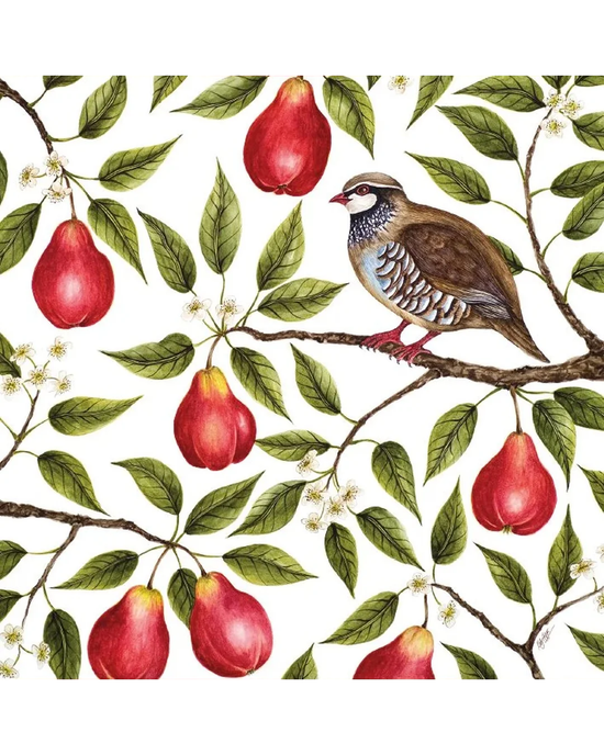 Partridge In A Pear Tree 5 Pkt - Christmas Card Pack