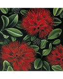 Pohutukawa DA)