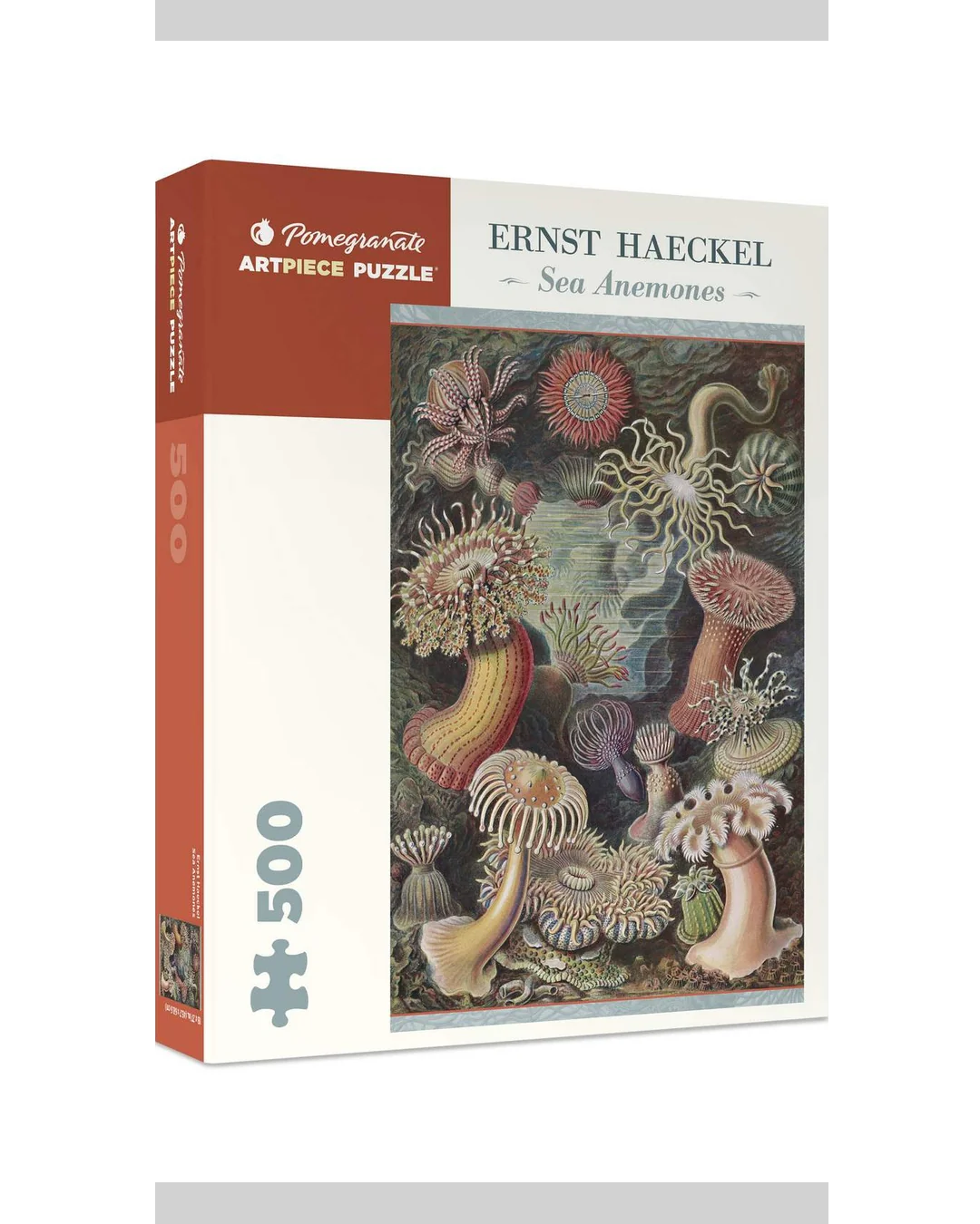 pomegranate-sea-anemones-500-pce-puzzle