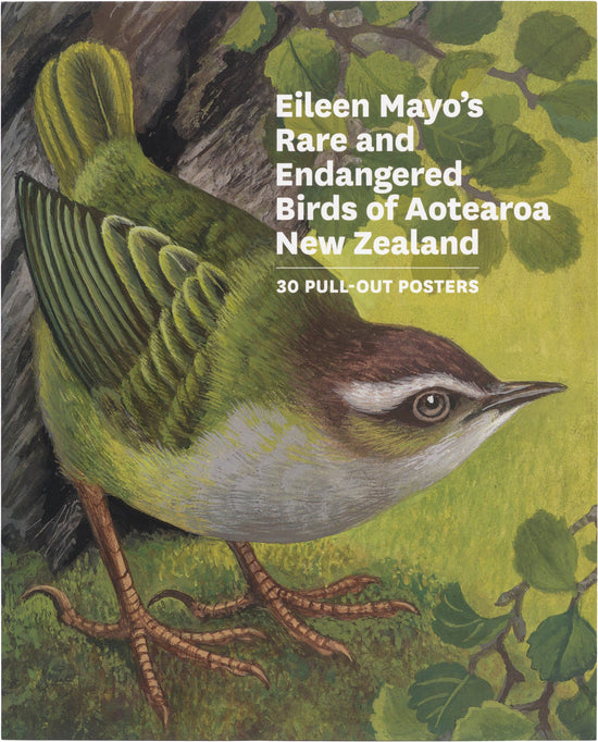 Rare & Endangered Birds 30 Pull out posters