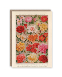 roses
