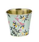 Sara Miller Orchard Plant Pot Tins