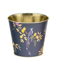 Sara Miller Orchard Plant Pot Tins
