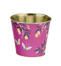 Sara Miller Orchard Plant Pot Tins