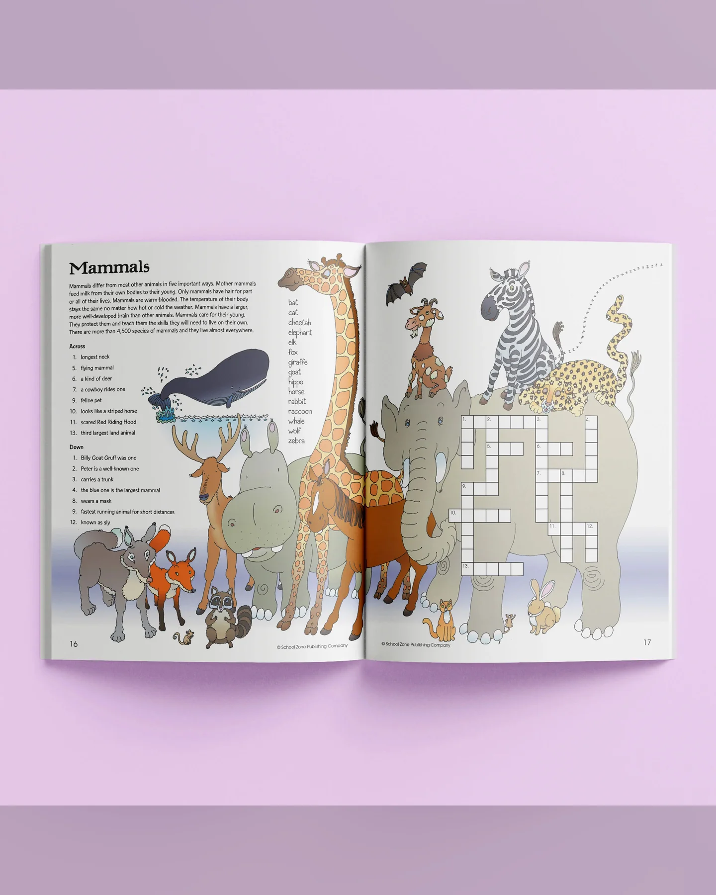 School Zone Activity Zone Crosswords Workbook-3