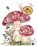 snail-and-toadstools