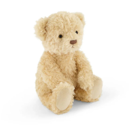 Snuggle Bunnies - Arthur the Bear Soft Toy