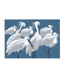 spoonbills
