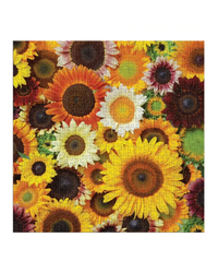 Galison Sunflower Blooms 500-Piece Jigsaw Puzzle-3
