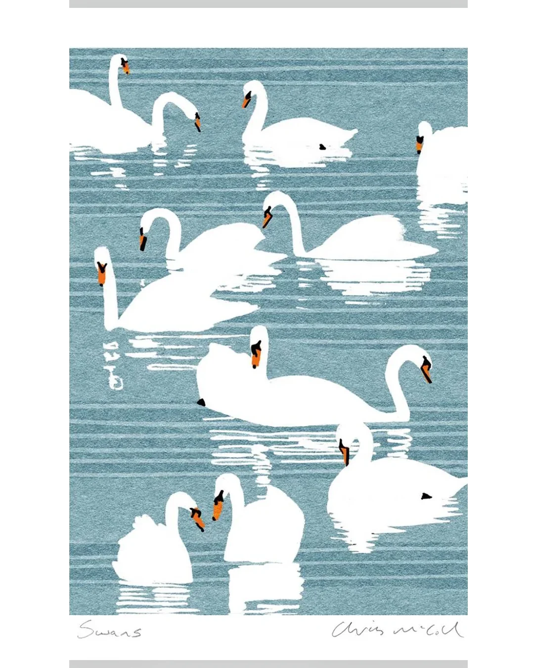 swans