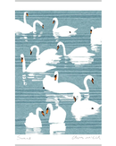 swans