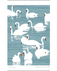 swans