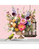 Sweet Canary