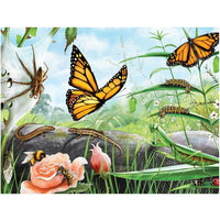 Treasures of Aotearoa S2 96pc Frame Tray Puzzle Assorted