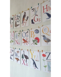 te-reo-abc-frieze