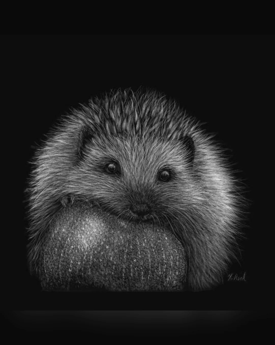 The Apple Thief