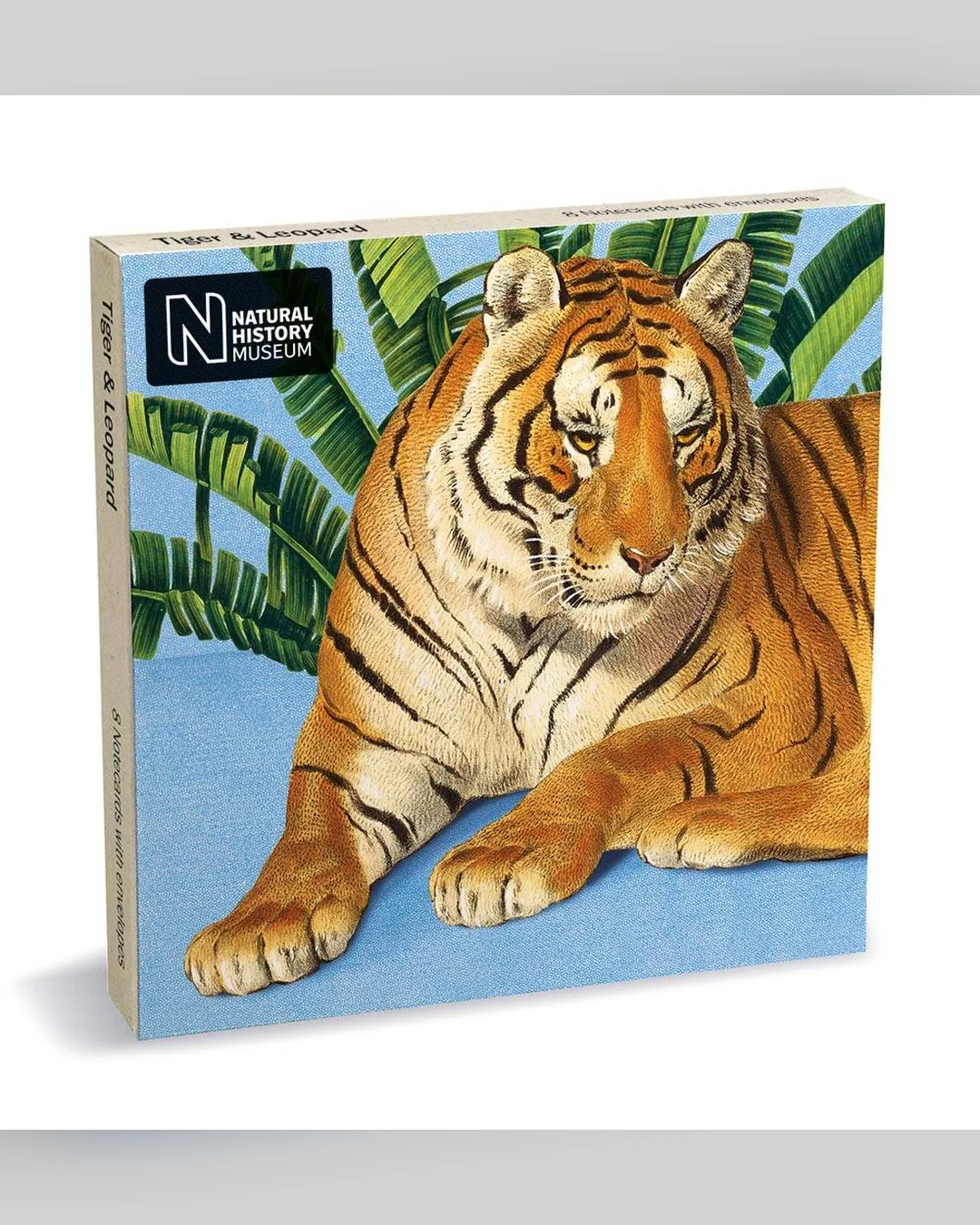 tiger-and-leopard-notecard-set-2-x-4