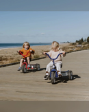 Tri-ang 2.0 Tuff Trike with Push Bar – Red Children’s trike with push bar
